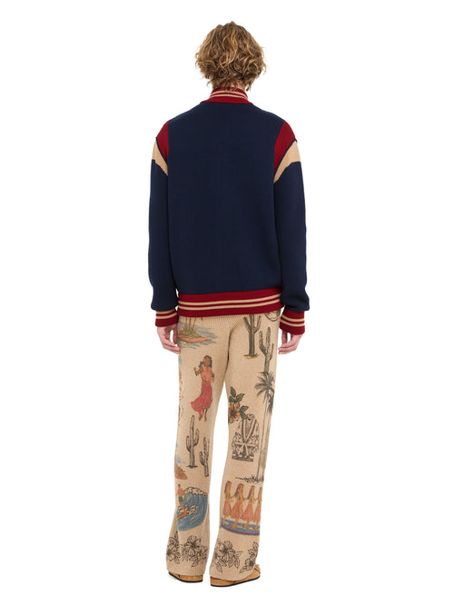 College Of Aloha Bomber