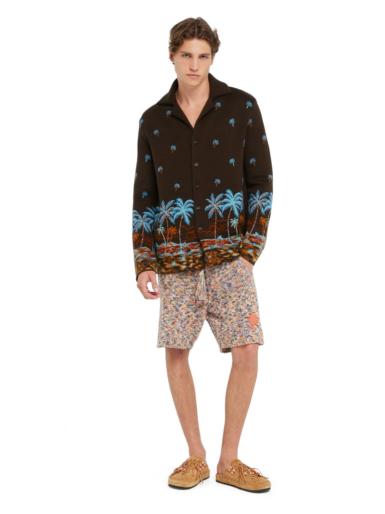 The Tale Of Hawaiian Shirt