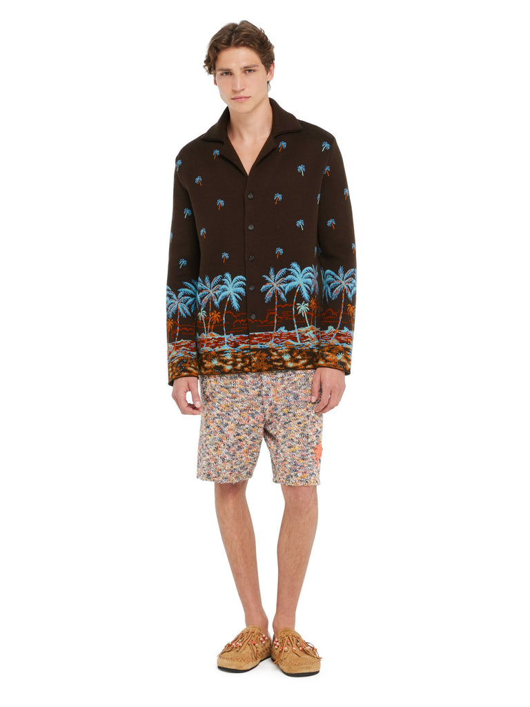 The Tale Of Hawaiian Shirt