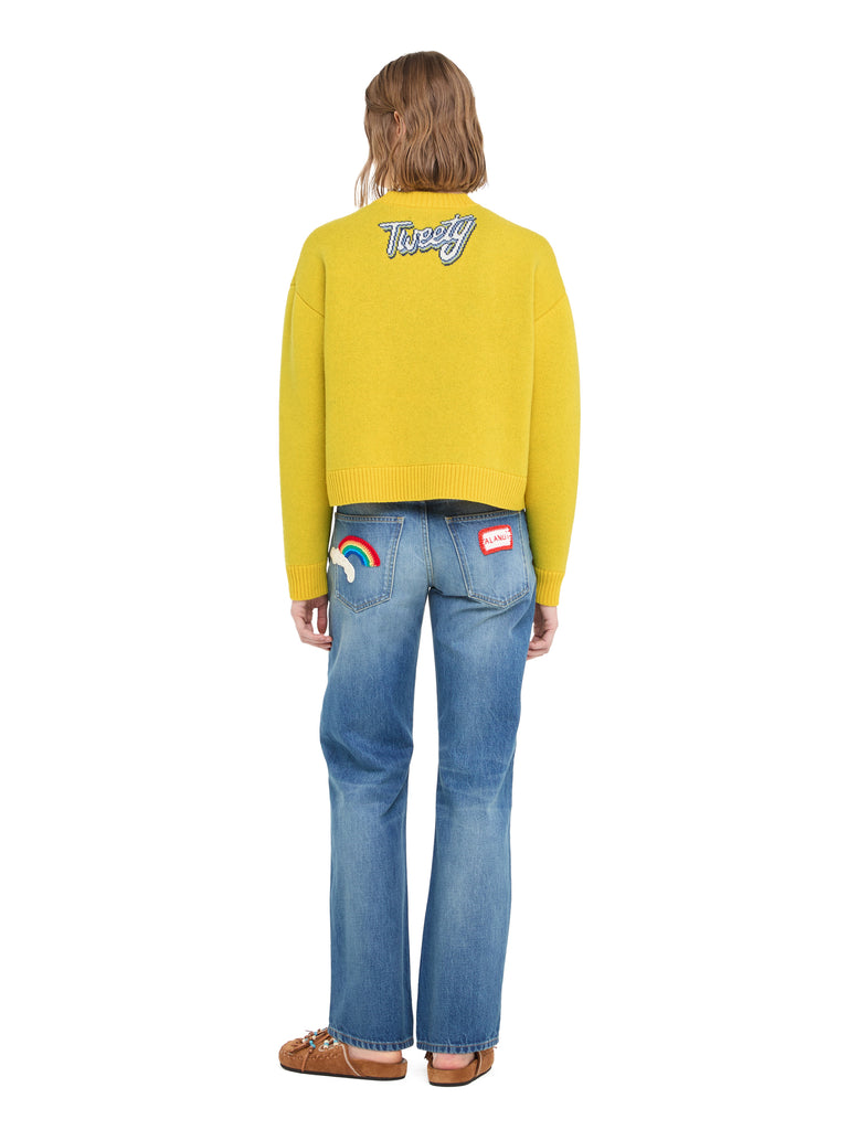 Hula Tweety Sweater